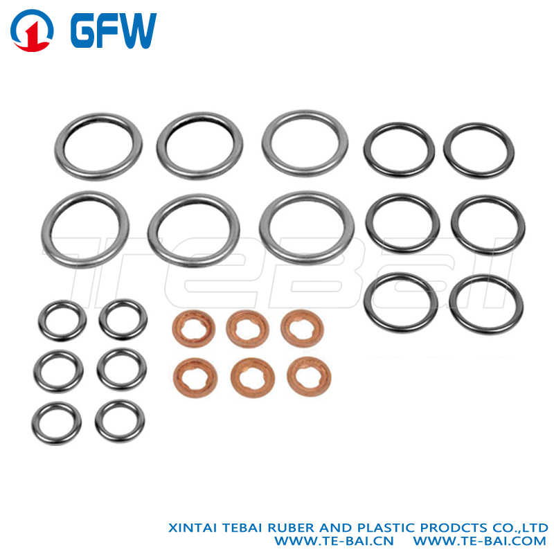 喷嘴垫片套件-5419970745S2